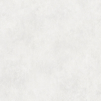 20240125015702_Kross_4307-5 20240125015702_Kross_4307-5