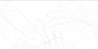 Screenshot_1335 Screenshot_1335