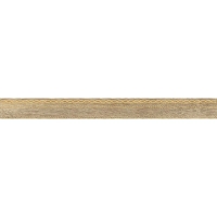 main (7) main (7)