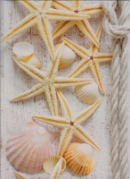 Морской коктейль Морской коктейль