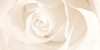 Effecta_30x60_EC2L011_decor_jpg Effecta_30x60_EC2L011_decor_jpg