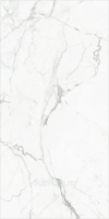 globaltile-elegant-statuario-gt120604803pr-belyij-polirovannyij-60x120-sm-plitka.6548bd69ca6f globaltile-elegant-statuario-gt120604803pr-belyij-polirovannyij-60x120-sm-plitka.6548bd69ca6f