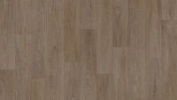 THH_Acczent_Pro_OREN2 THH_Acczent_Pro_OREN2