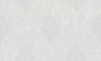 PL72365-41 PL72365-41