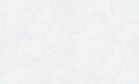 ZOOM2wPL72067-14 ZOOM2wPL72067-14