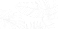 Screenshot_1337 Screenshot_1337