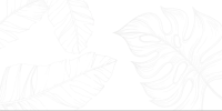 Screenshot_1336 Screenshot_1336
