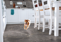 Screenshot_1049 Screenshot_1049