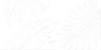 Screenshot_1338 Screenshot_1338